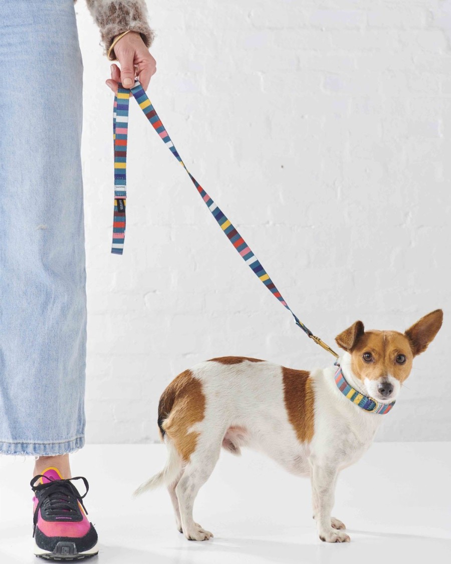 Homewares Kip&Co Dog Leads | Big Stripe Dog Lead