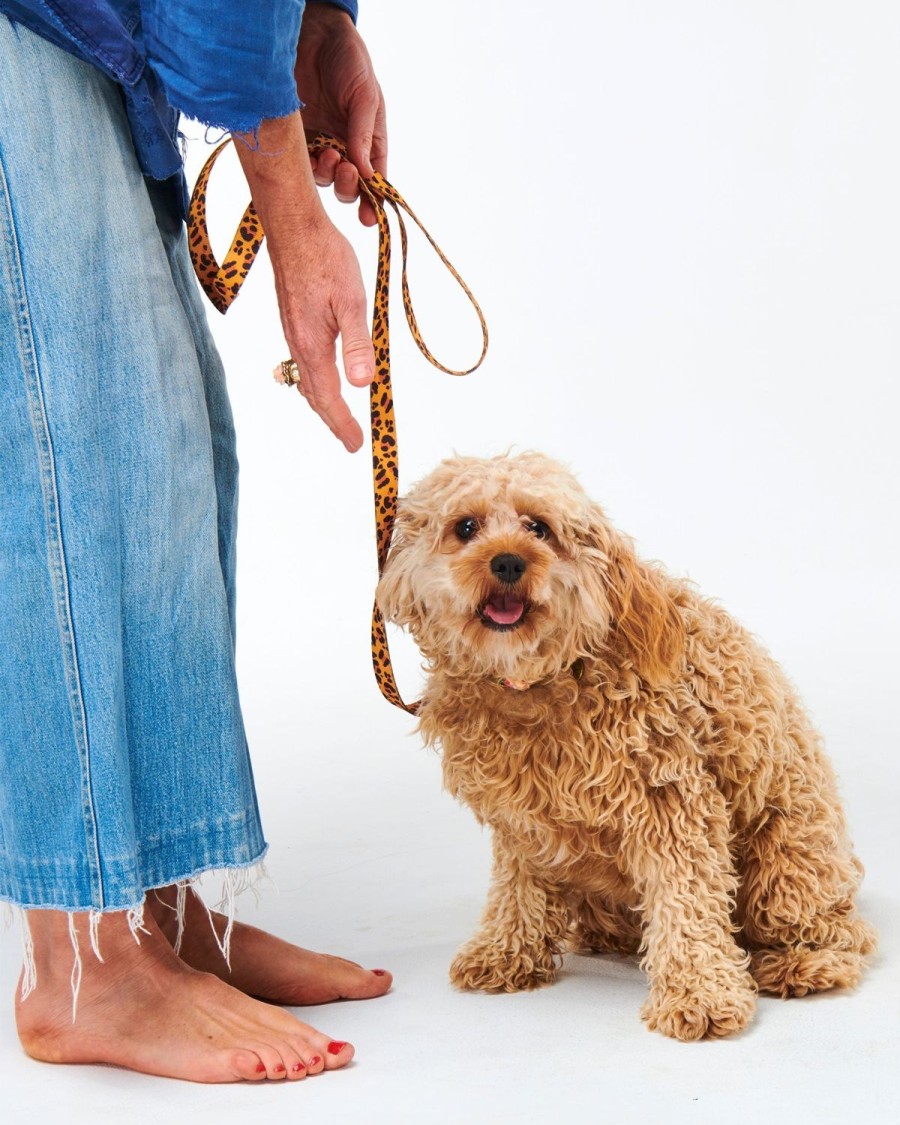 Homewares Kip&Co Dog Leads | Tarzan Dog Lead