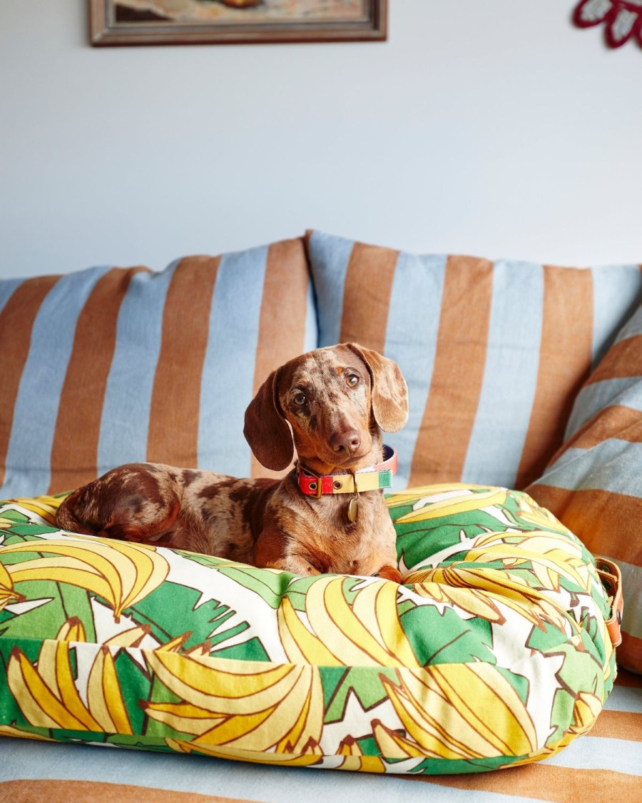 Homewares Kip&Co Dog Leads | Bananarama Dog Lead